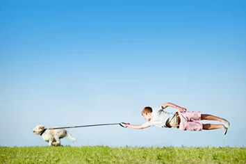Corso di addestramento cani - obbedienza avanzata